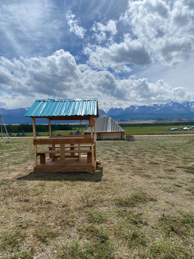 Курай Алтай отдых беседка