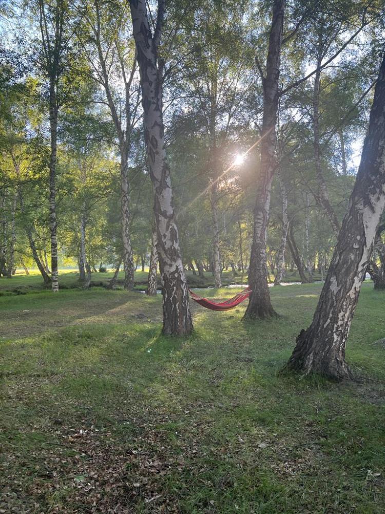 Отдых в Горном Алтае в селе Купчегень