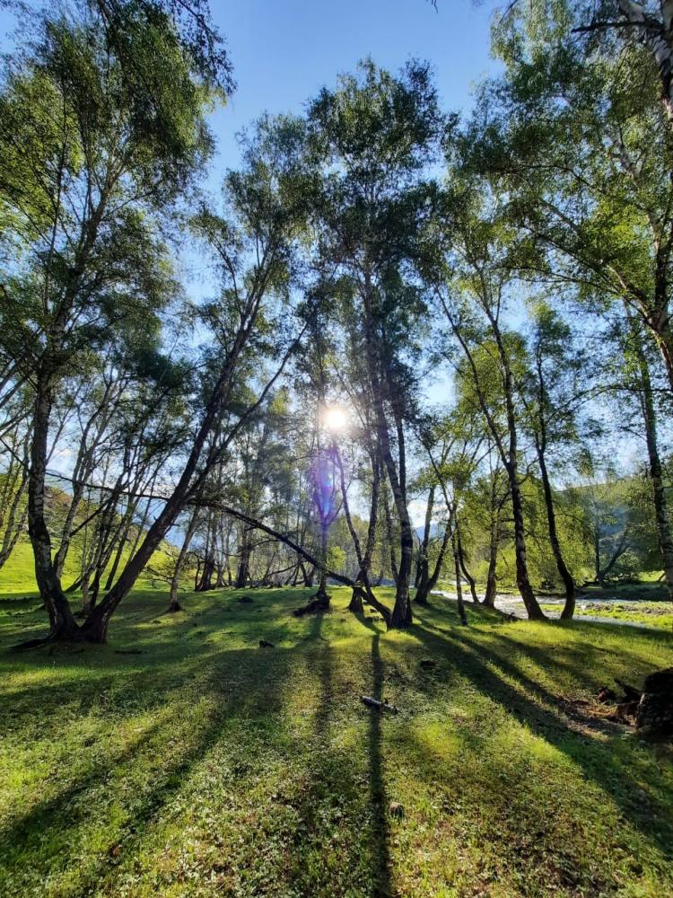 Отдых Купчегень Алтай Онгудайский район