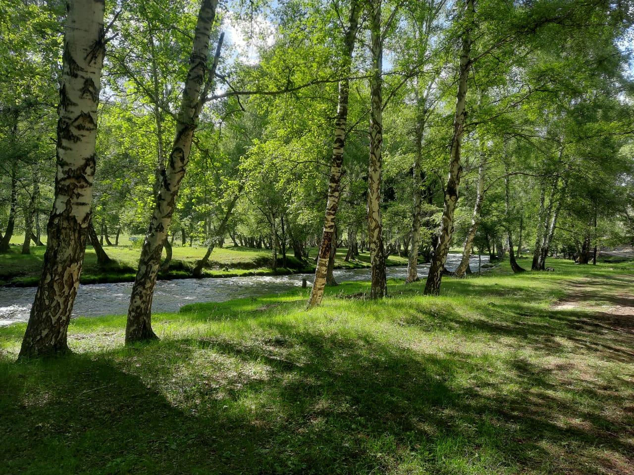 Отдых на Алтае в селе Купчегень у реки