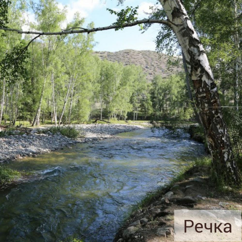 Река Большой Яломан  Республика Алтай