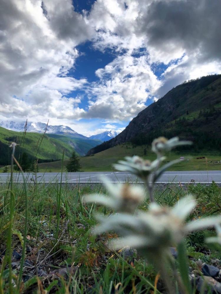 Северо-Чуйский хребет 