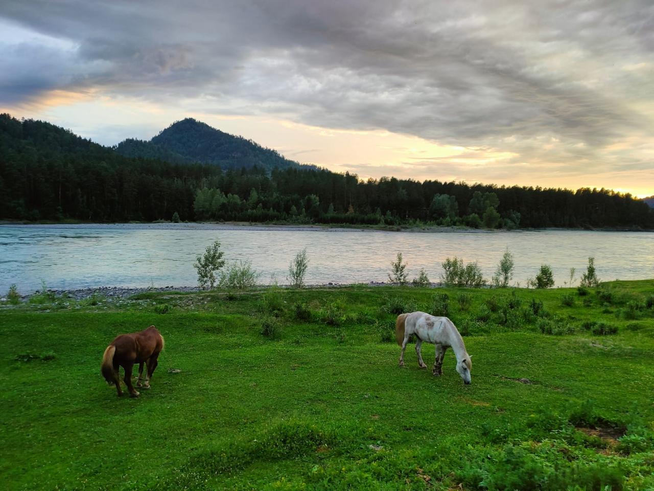 Коттедж в Манжерок "БережОК" вид на реку Катунь