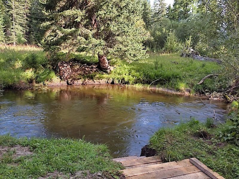 Отдых у реки в Горном Алтае