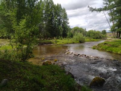 Отдых у реки в Горном Алтае 