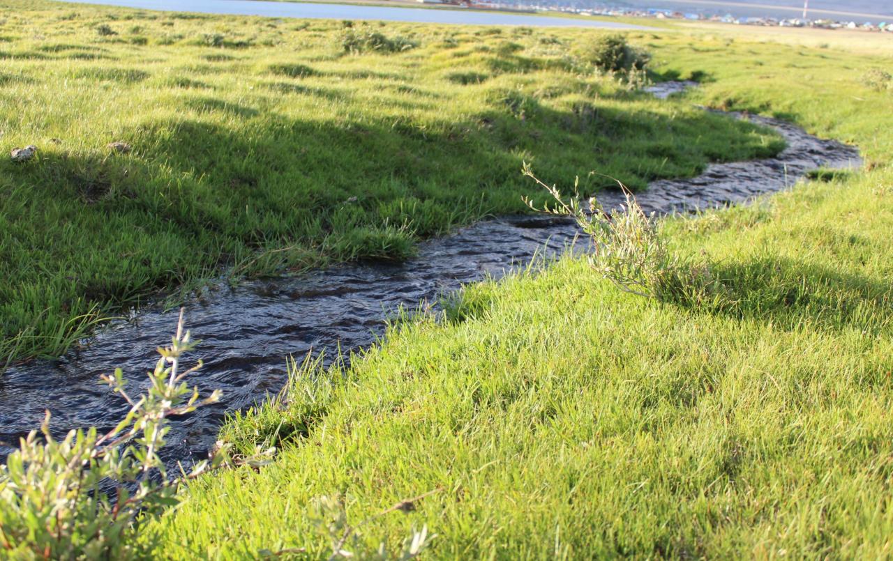 Горная речка в селе Кош-Агач