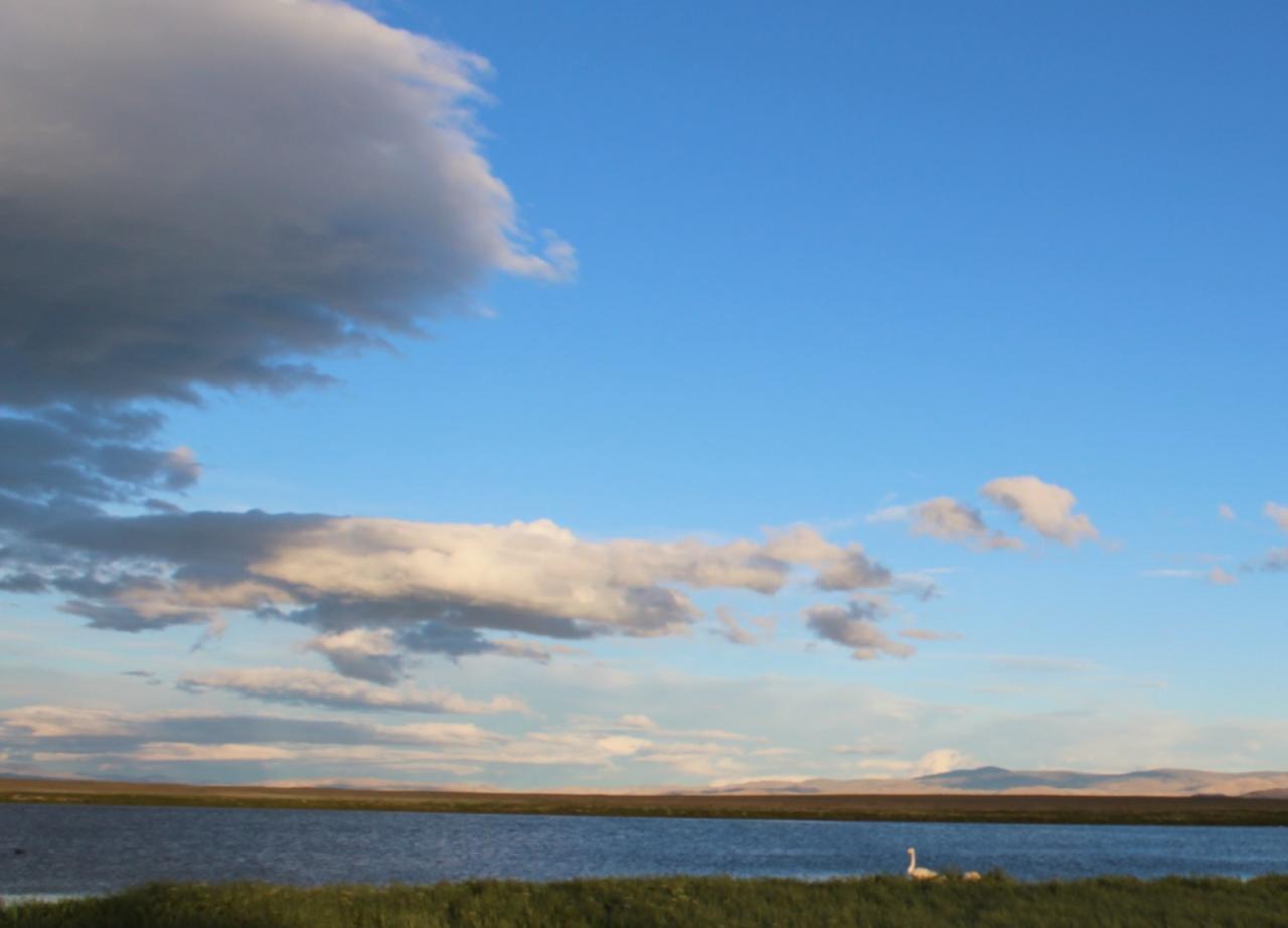 Кош-Агач озеро в 200 м от базы отдыха "Алтай Paradise"