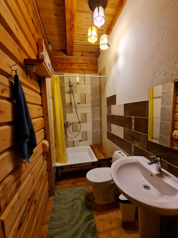 Второй санузел с душем