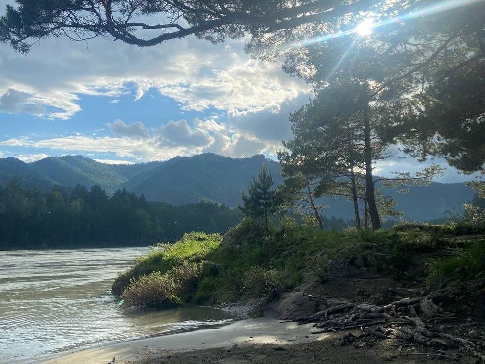 База отдыха у реки Катунь Алтай Аскат