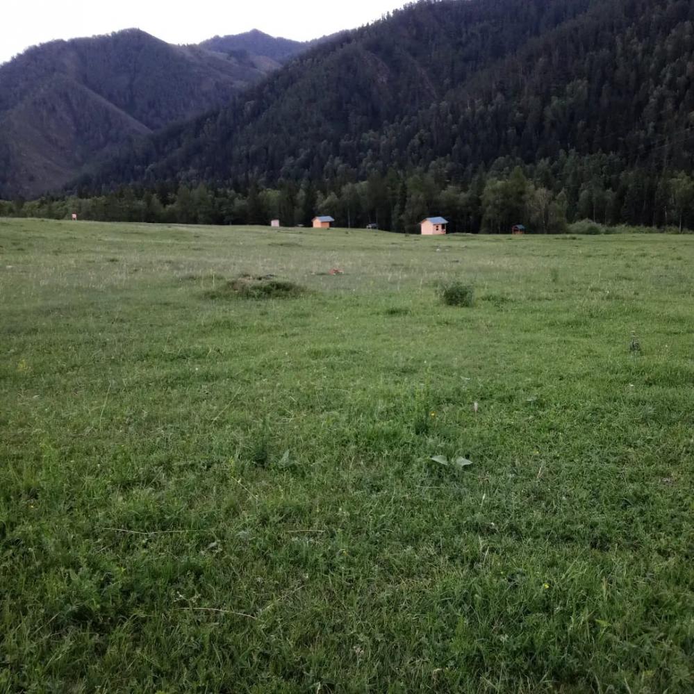 База отдыха "Чике-Таман" у реки Б. Ильгумень Алтай