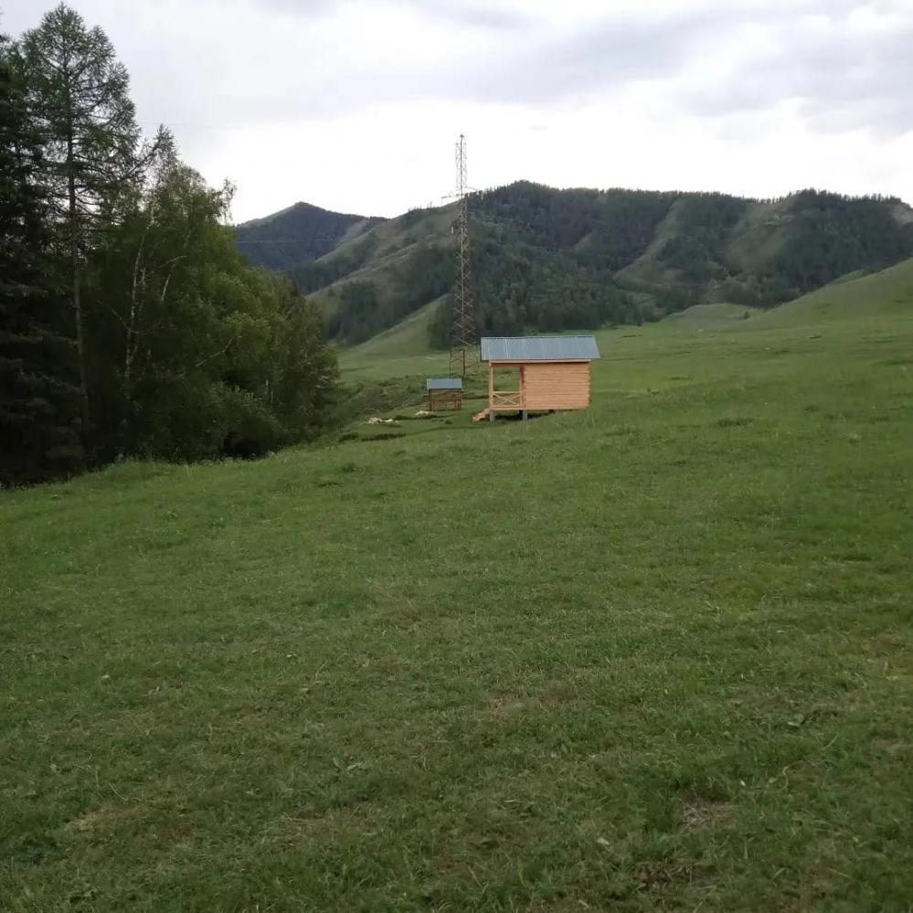 База отдыха "Чике-Таман" у реки Б. Ильгумень Алтай