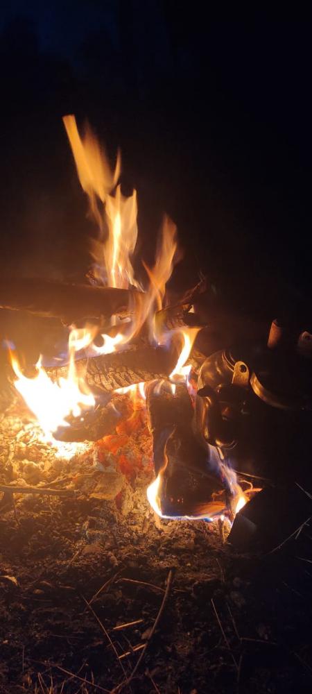 Вечер у костра