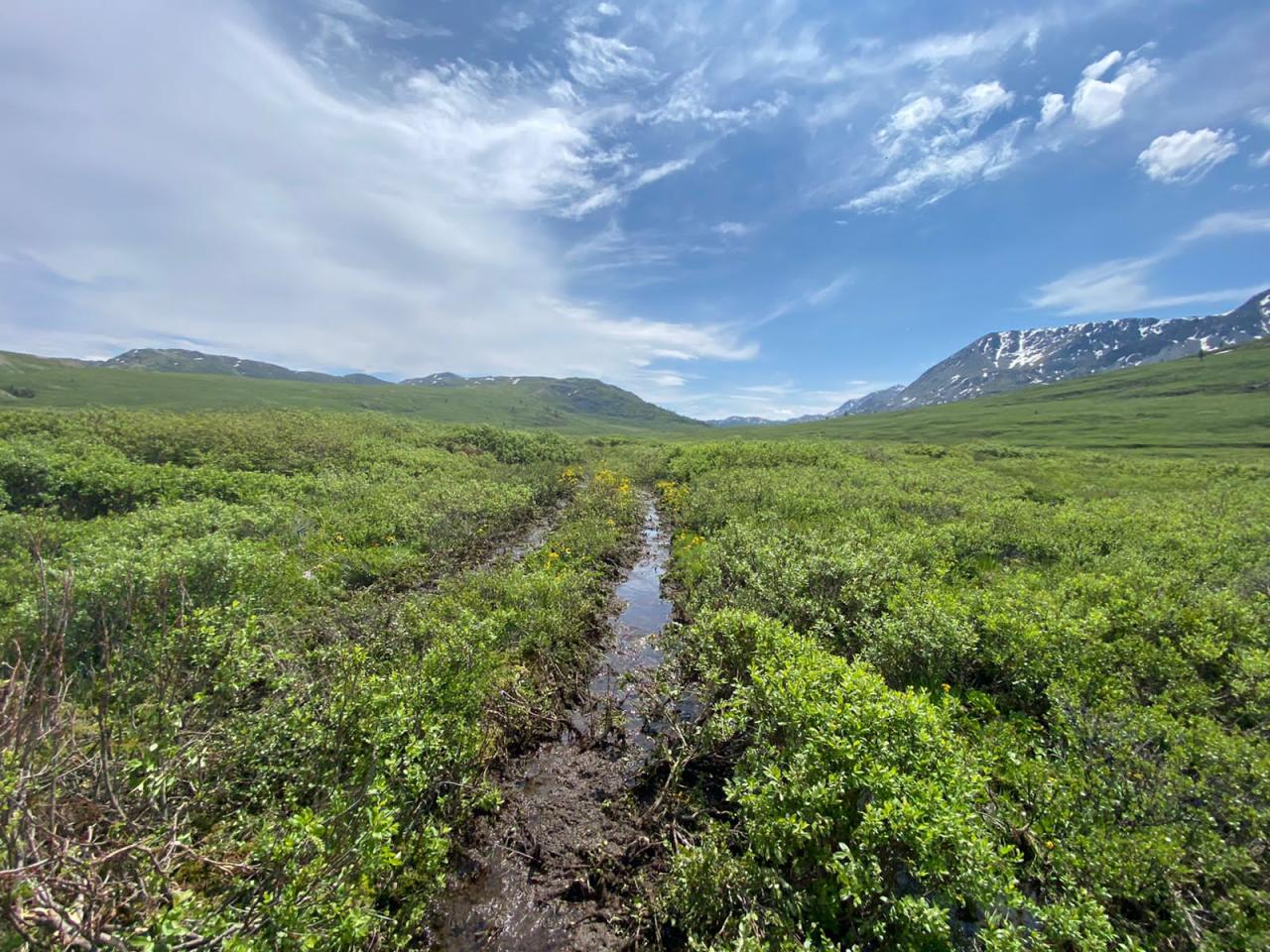 Туры на Укок и радоновый источник Джумалинский