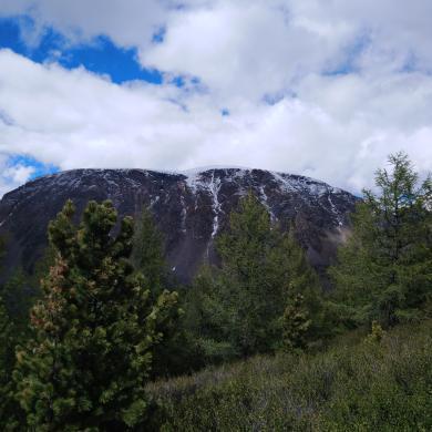 Курайский хребет