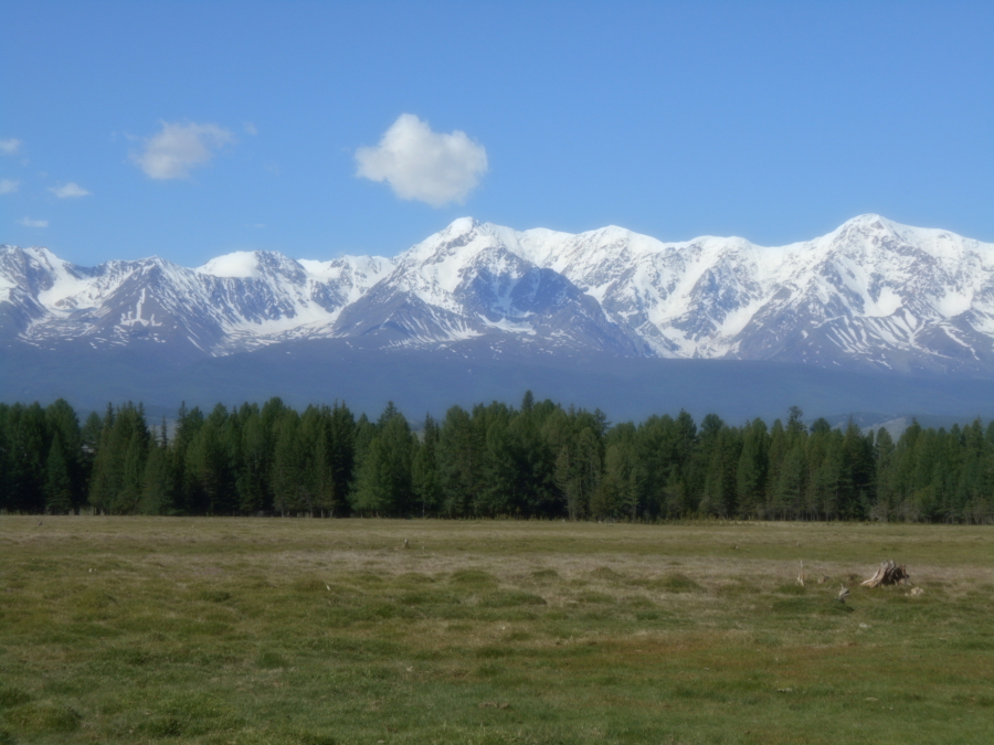 Виды вокруг