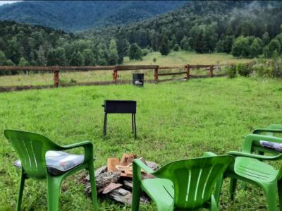 Кедровый дом, двор