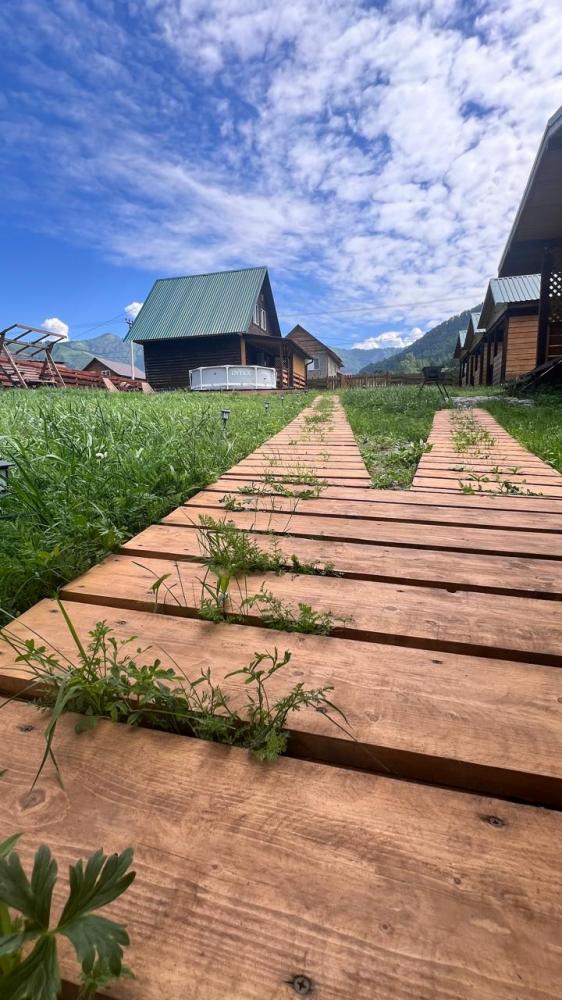 Отдых в Чемале на Алтае усадьба "Сосновая"