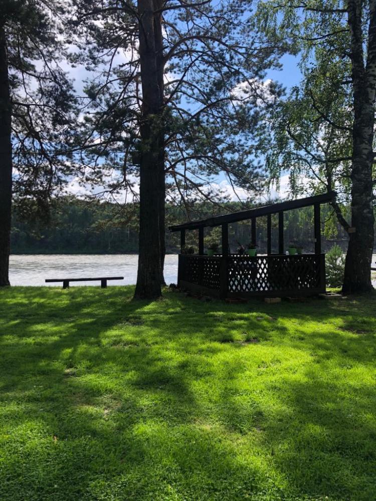 Бия отдых в Горном Алтае беседка