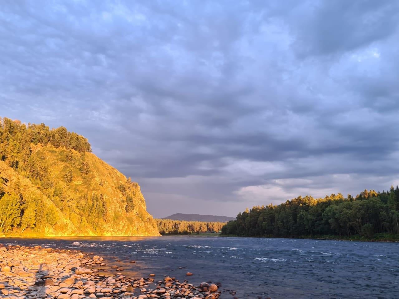 Река Бия возле "Заимки Швецовых" Горный Алтай