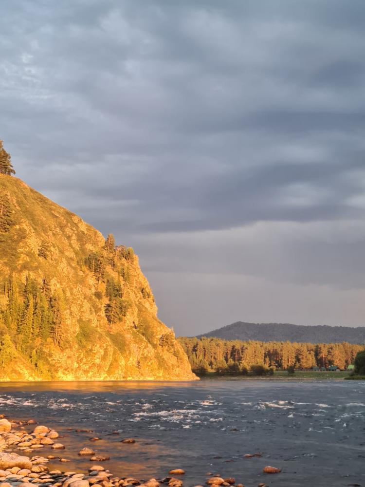 Алтай река Бия у  "Заимки Швецовых"