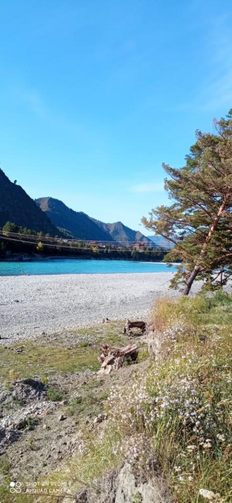 Река Катунь в 300 м от усадьбы "Яровая" в Чемале