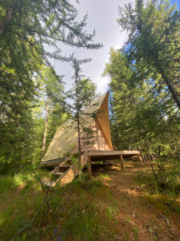 Лесной шатёр экокемпа Мир Алтай
