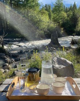 Травяной чай и алтайский мёд