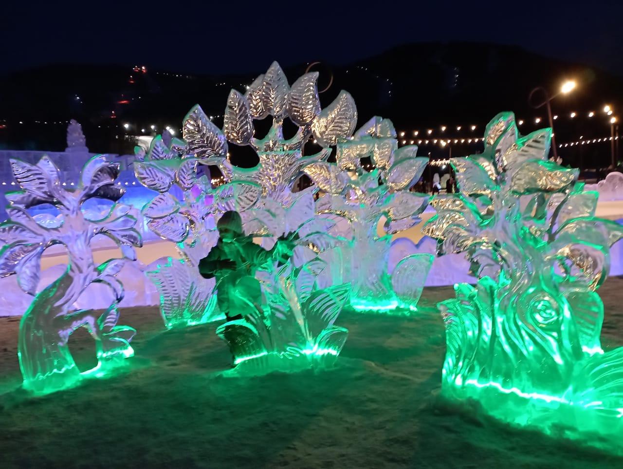 Что посмотреть на Алтае зимой 2026 года?