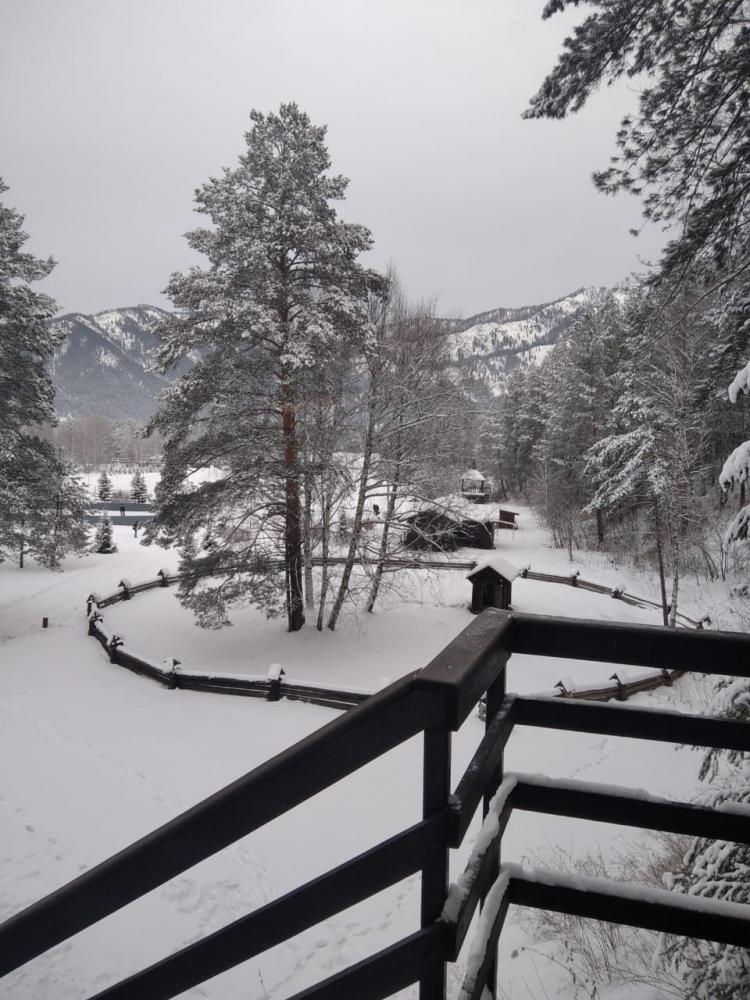 Тур Новый год на Алтае 2026 из Новосибирска