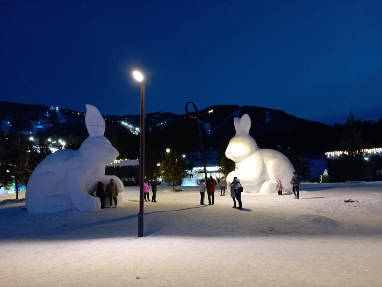 Новогодний тур на Алтай  2026 из Новосибирска и Барнаула