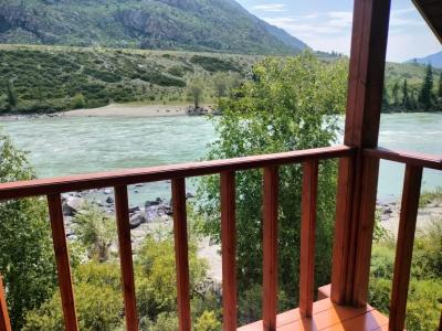 Ковшаровкадан келген жезөкшелер