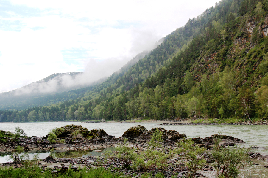 Кемпинг "Алатырь" Майминский район, Алтай.