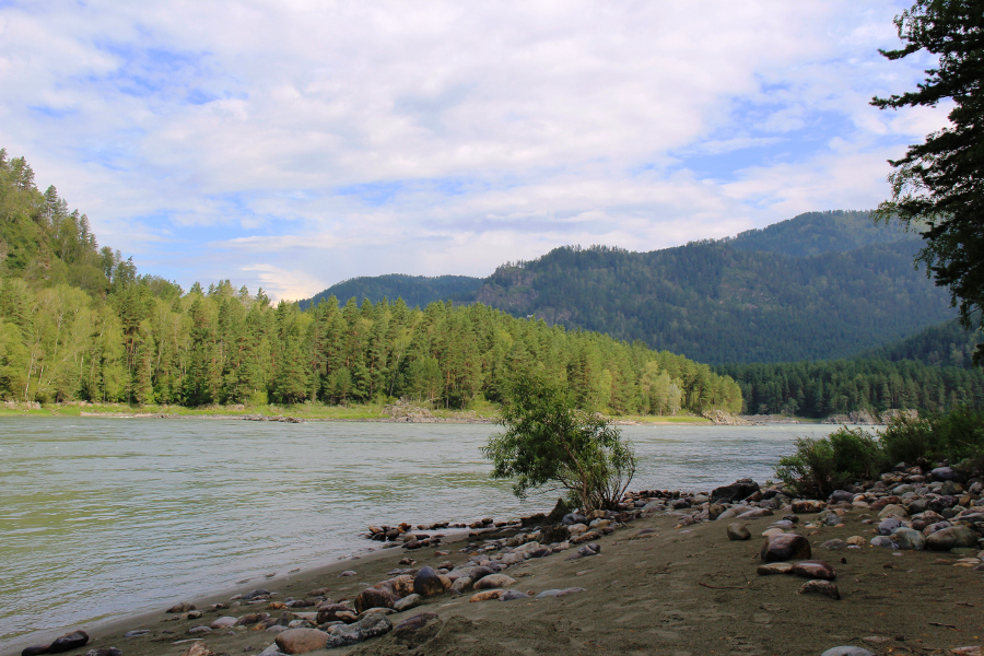 Кемпинг "Алатырь" Майминский район, Алтай.