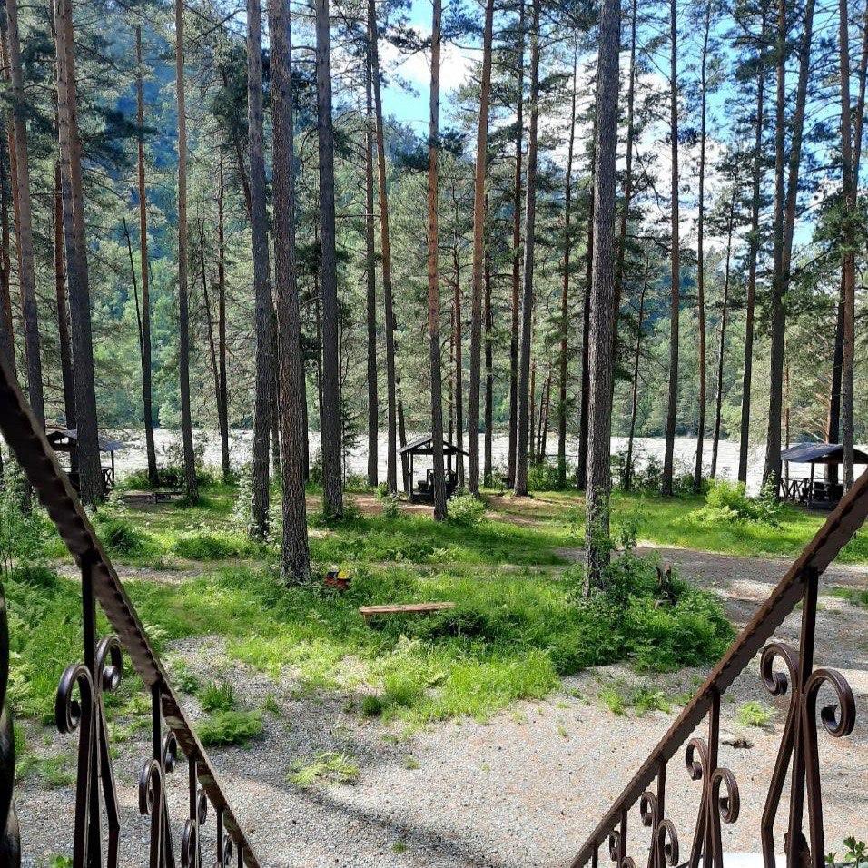 территория