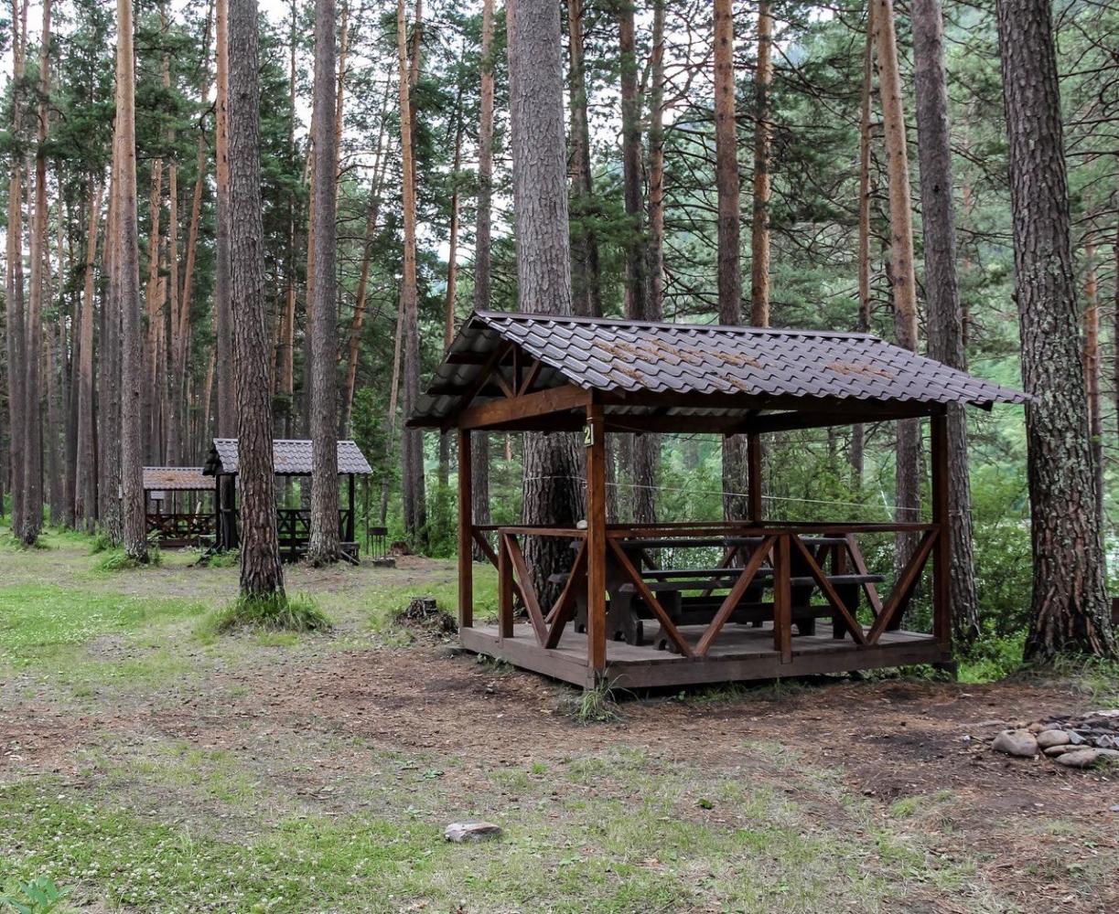 Беседки на берегу Катуни