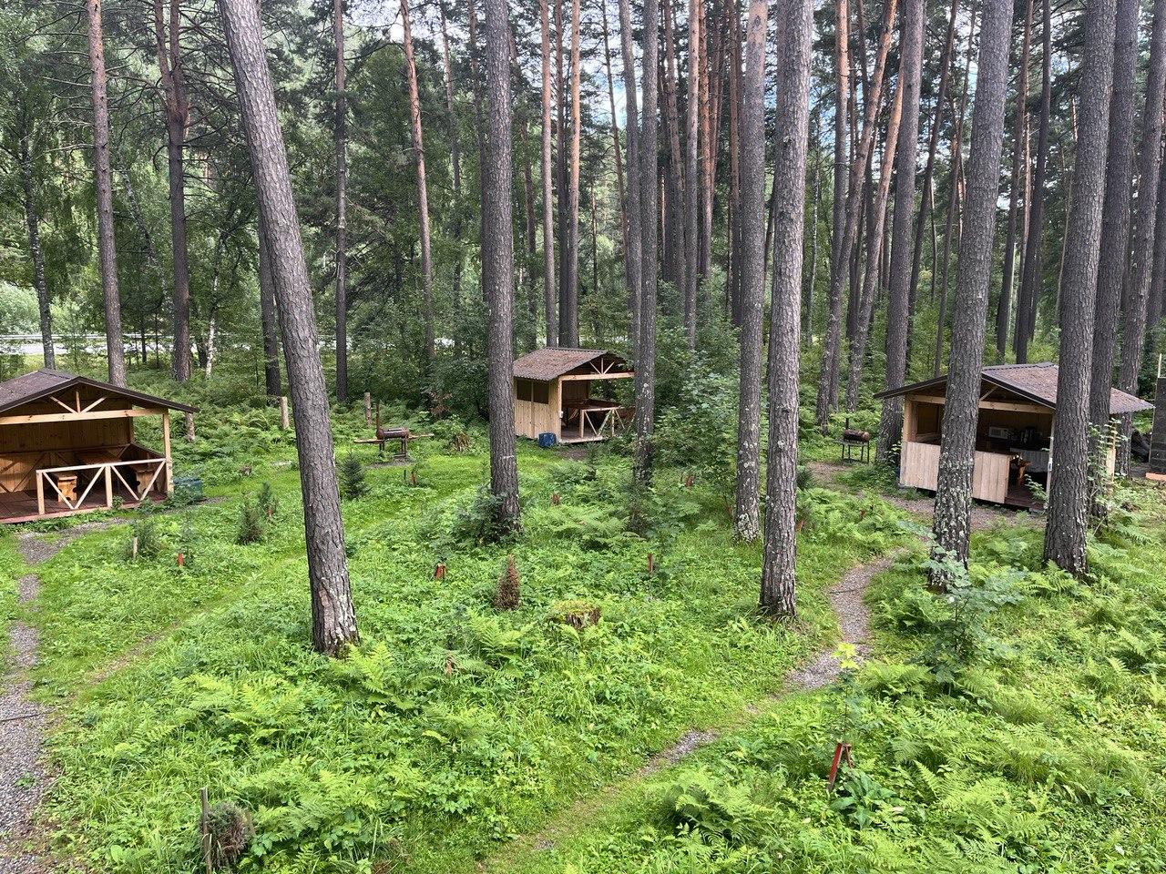 Вид на летнюю кухню и беседки в лесу