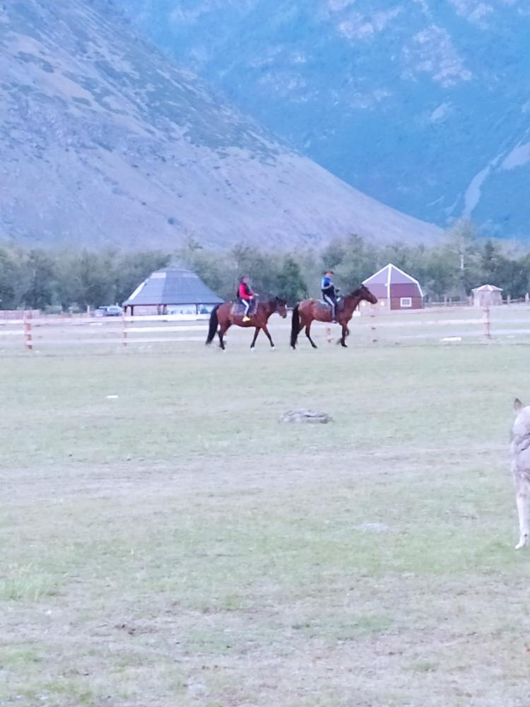 конные прогулки