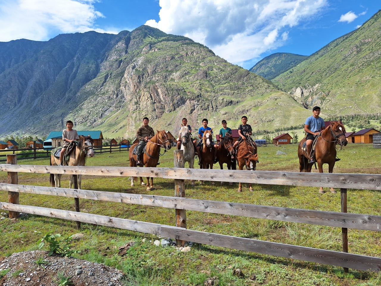 Лошадки наши