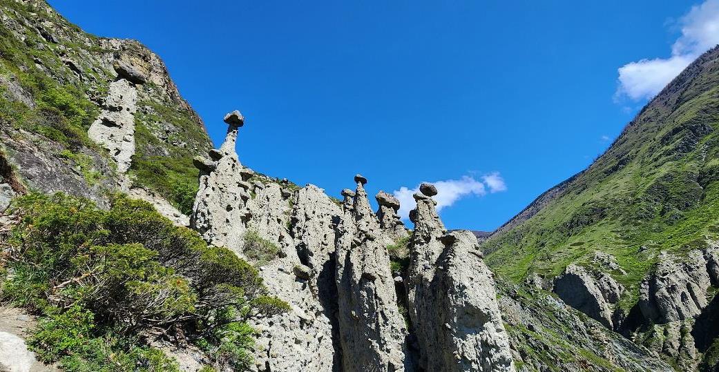 Каменные грибы