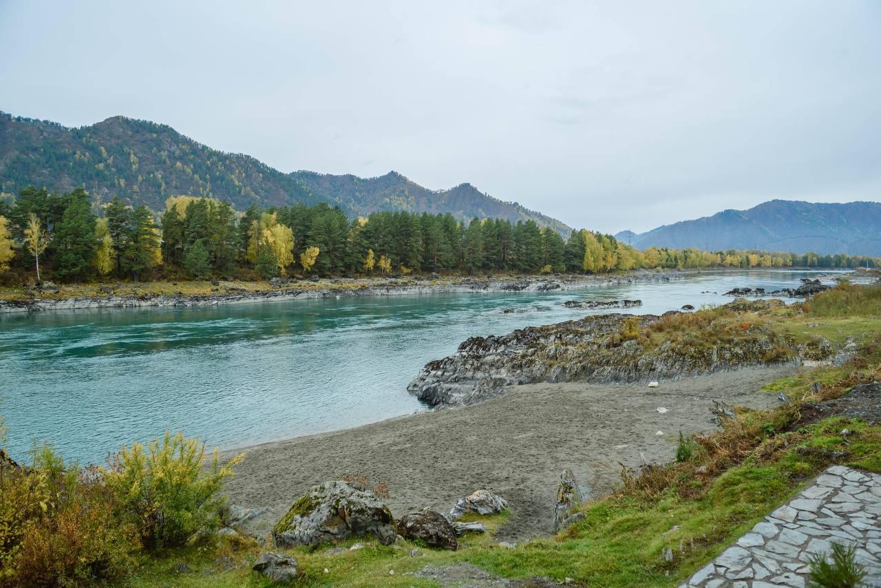 Пляж на Катуни