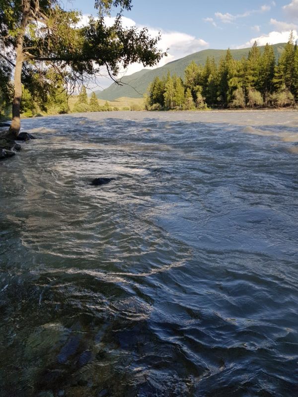 Отдых на слиянии рек Алтай