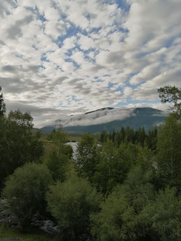 Виды на горы Алтая