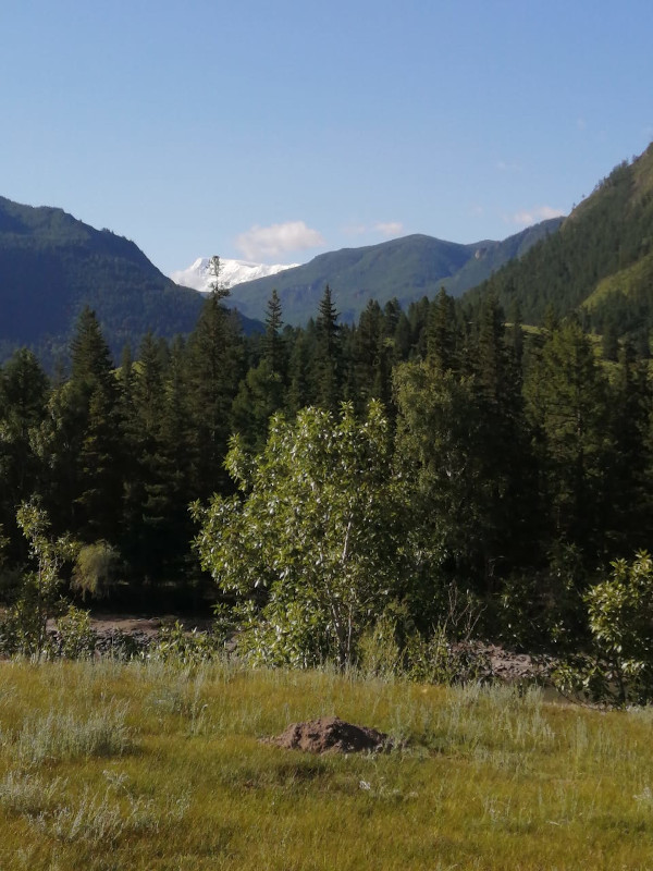 Вид ледники Актру