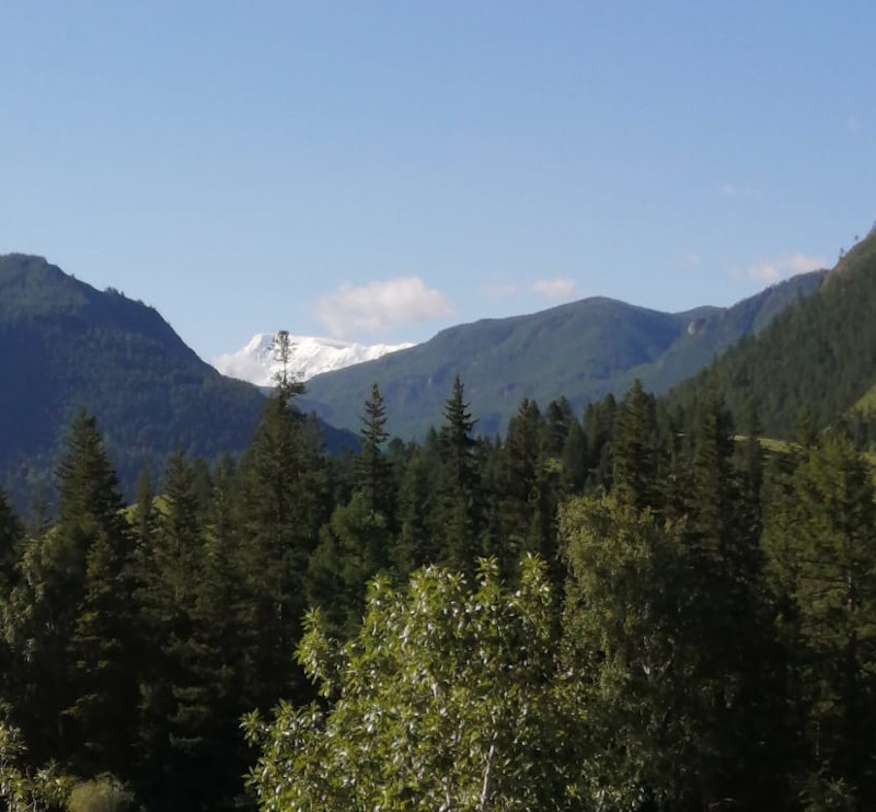 Вид ледники Актру