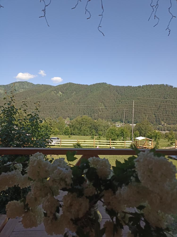 Вид с террасы