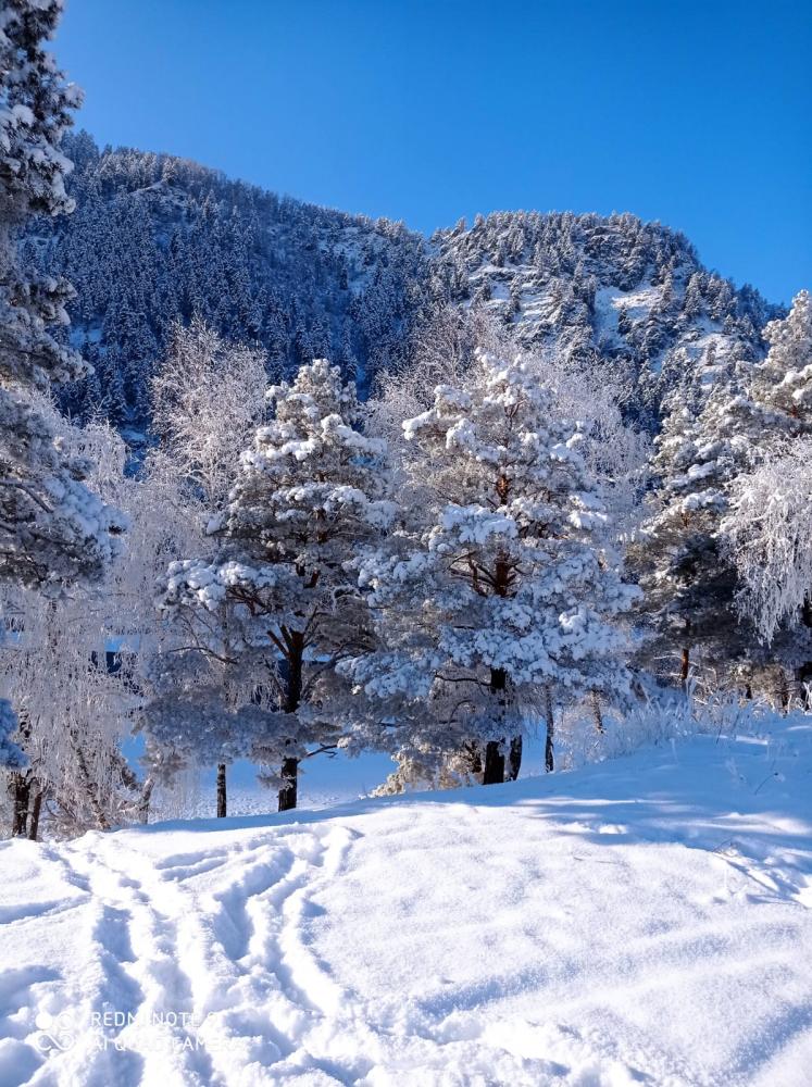 Чемал зимой 2023