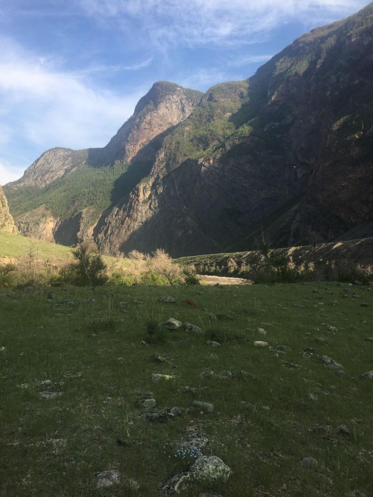 Отдых на Чулышмане Алтай