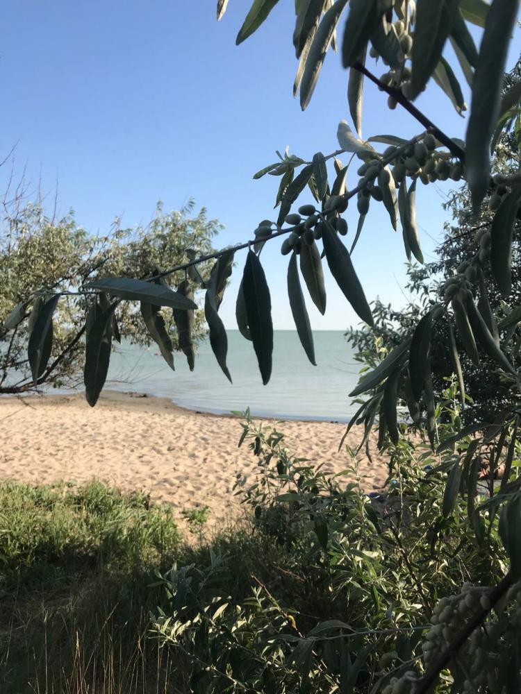  Славянская усадьба