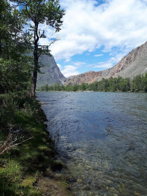 Река Чулышман Горный Алтай