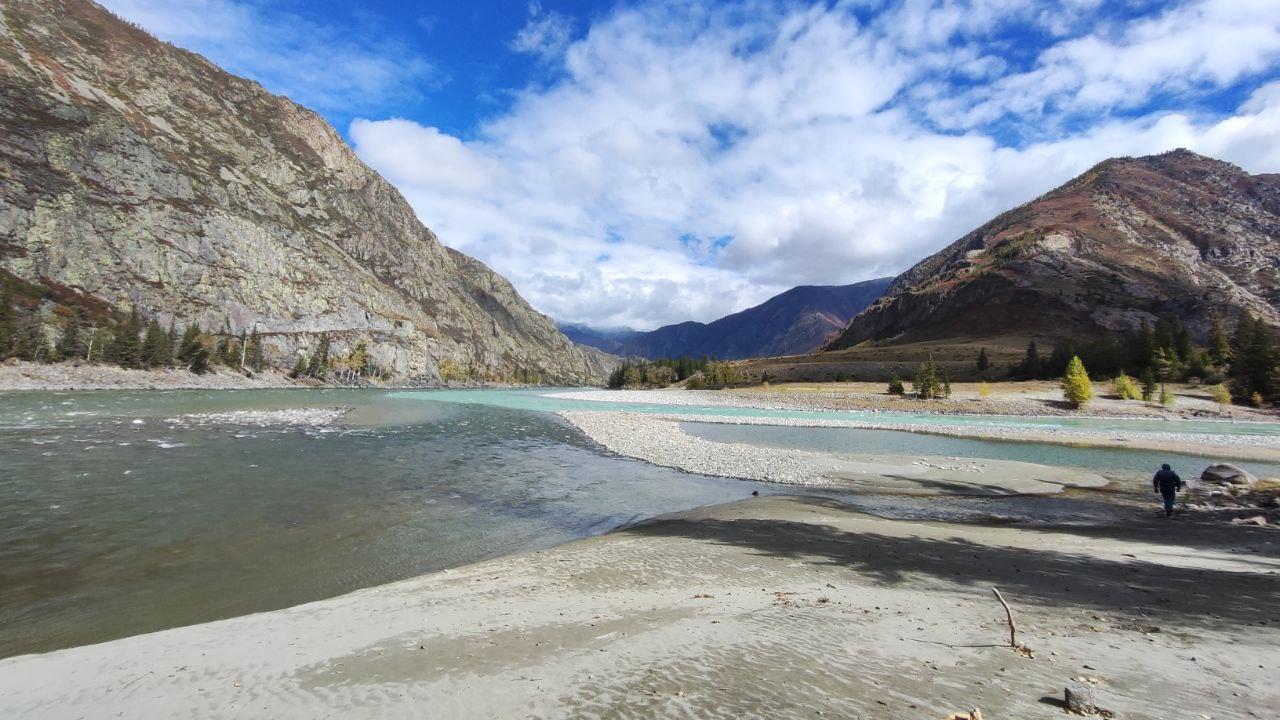 слияние Аргута